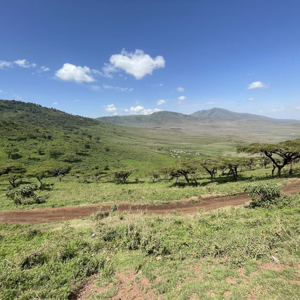 2 Days Safari -Lake Manyara and Ngorongoro Crater