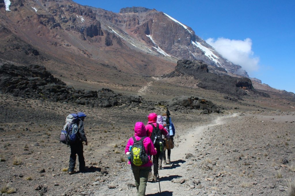 7 Days Mount Kilimanjaro climbing on Shira Route