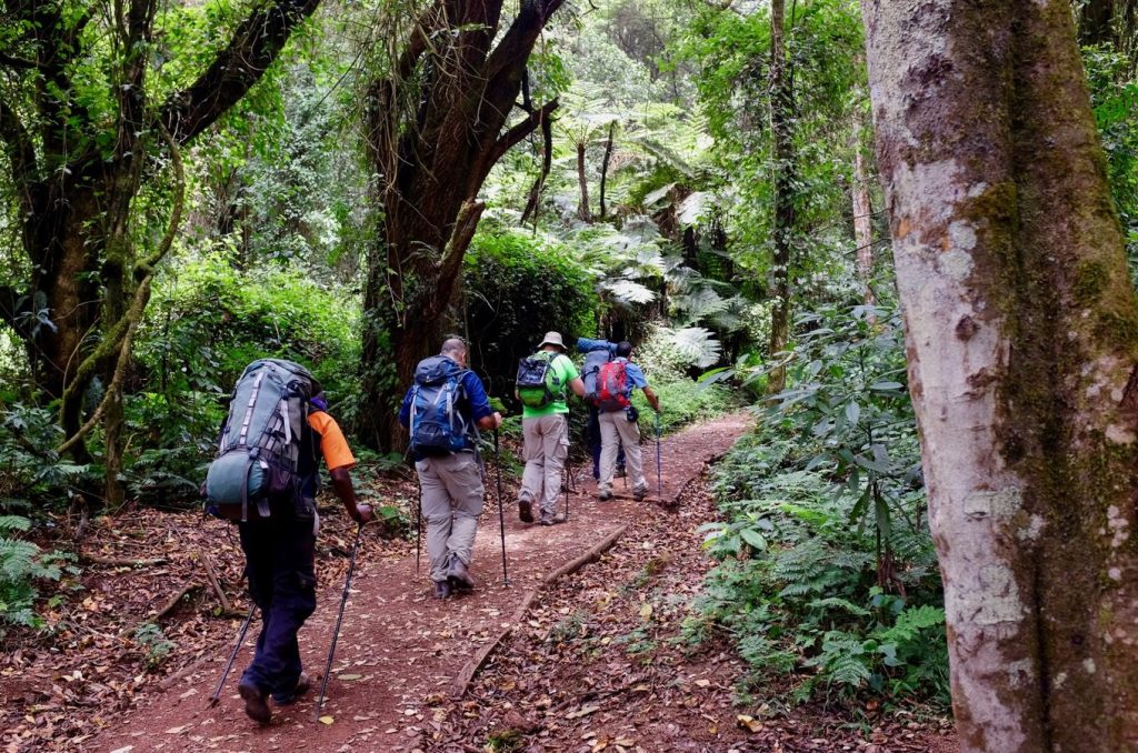 8 Days Mount Kilimanjaro climbing on Shira Route