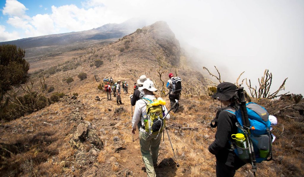 8 Days Mount Kilimanjaro climbing on Umbwe Route