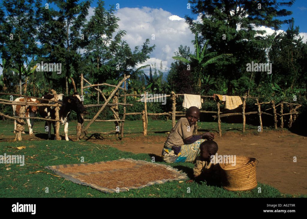 Cultural Activities in Tanzania - Visiting the Ng’iresi Village.