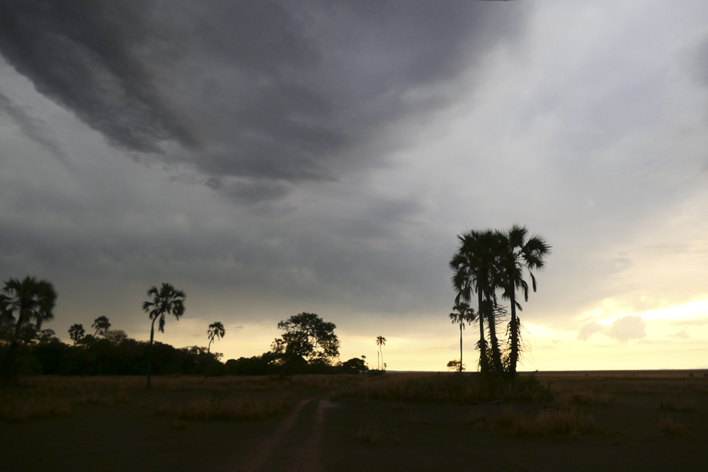 Katavi National Park