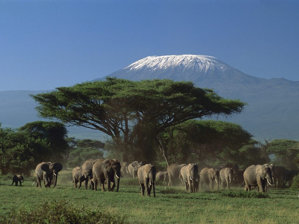 Kilimanjaro National Park