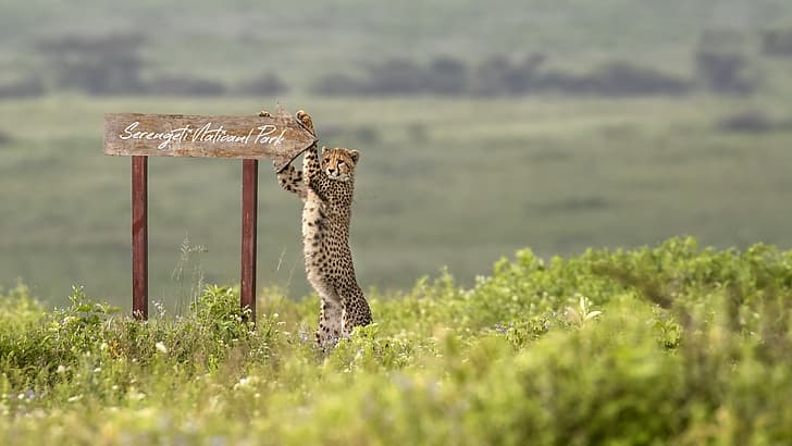 Serengeti National Park