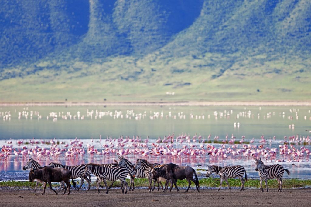 Ngorongoro Conservation